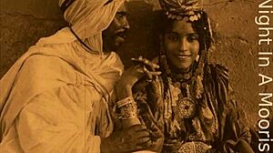 Retro vintage blowjob and hairy pussy action in a moorish harem